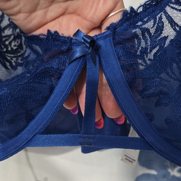 Chic Blue Lace Underwire Bra - Picture 4 of 6